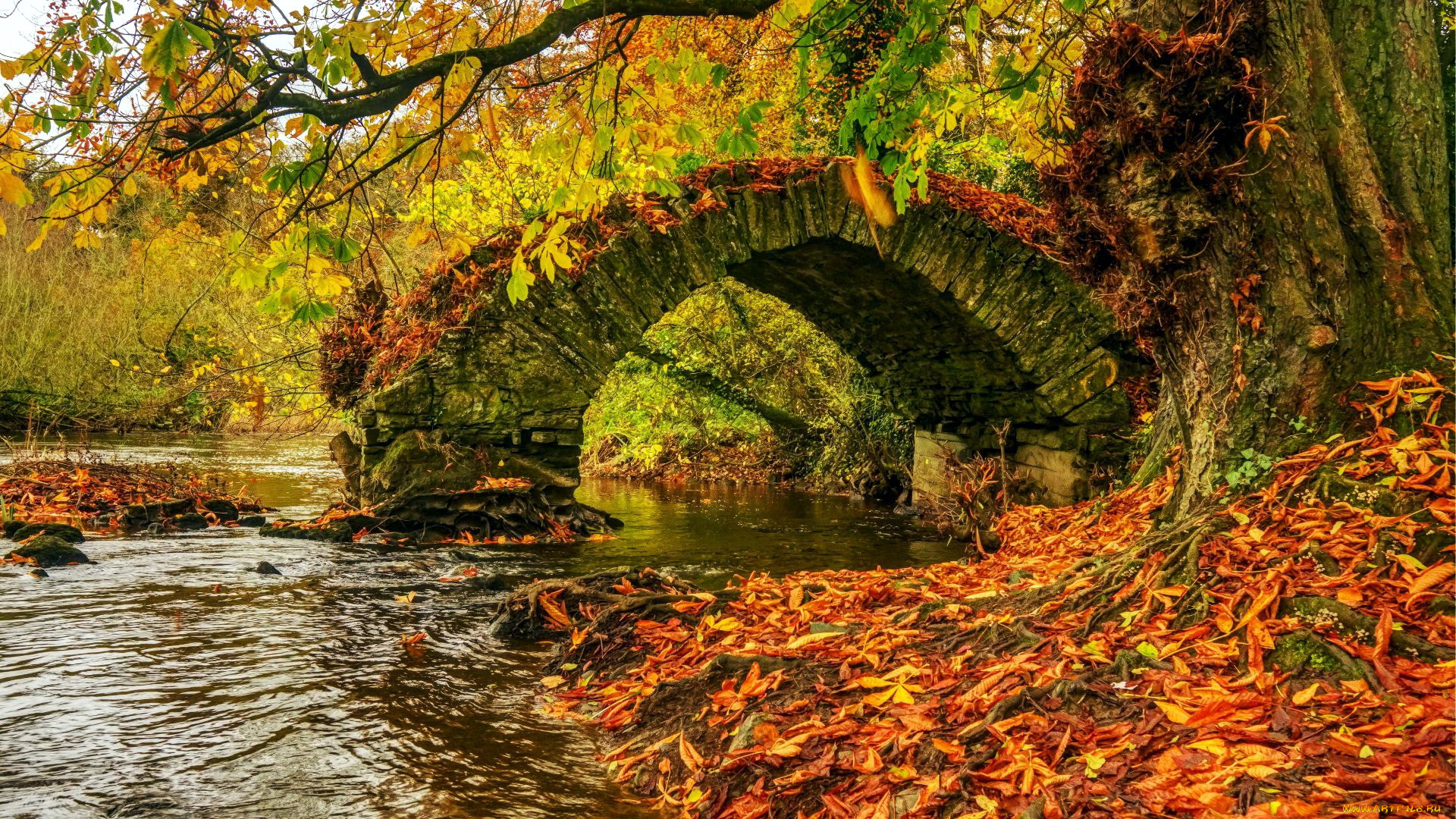 river boyne, babes bridge, ireland, , , , river, boyne, babes, bridge
